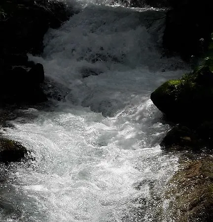 缇波特斯克旅馆 施文道